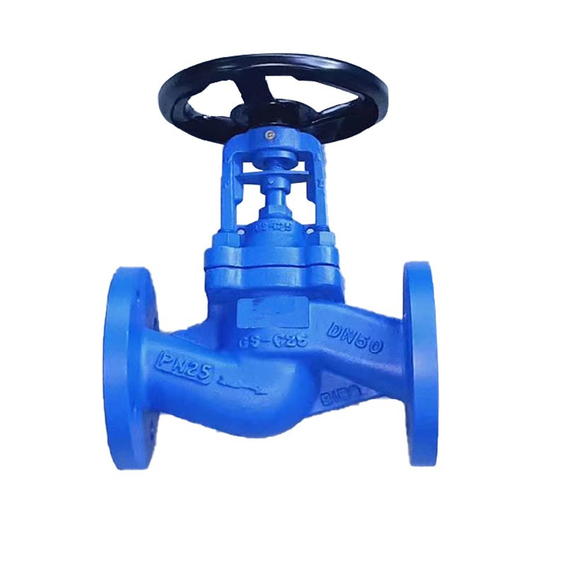 Bellow Seal Globe Valve Cast Steel PN16 from China manufacturer - PG Valves