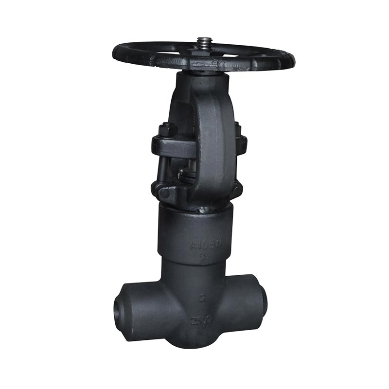 Forged Steel Gate Valve A105 800LB SW Npt 
