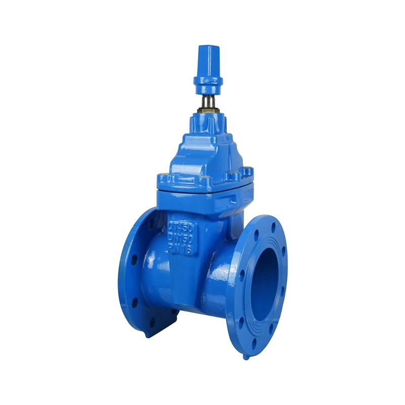 Resilient Seat Gate Valve Din3352 F5 PN16 GGG50