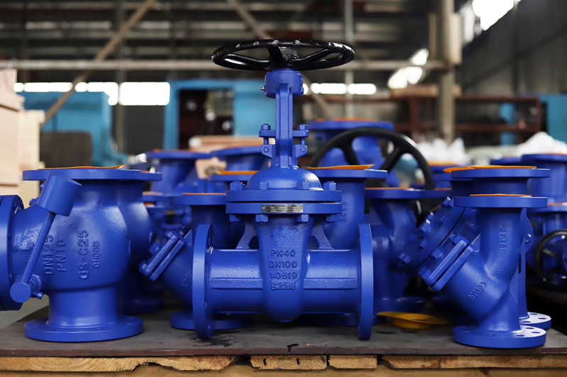 Industrial Gate Valve Din Rising Stem Cast Steel from China manufacturer PG Valves